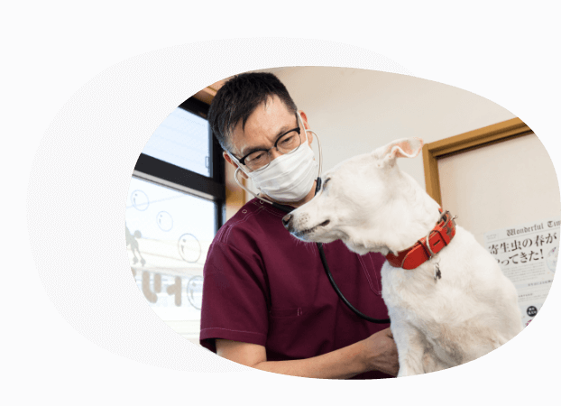 ペットドックによる病気の早期発見