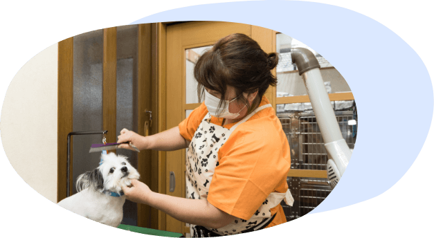ペットホテルやトリミング・シャンプーも実施